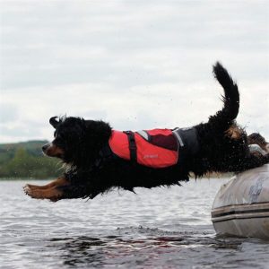 Koiran kelluntaliivi